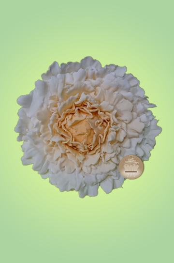 Peonia en pasta de goma